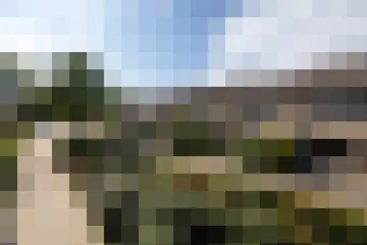 Verwoldelaan 38 Arnhem thumbnail 40