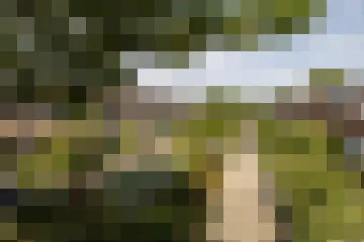 Verwoldelaan 38 Arnhem thumbnail 5