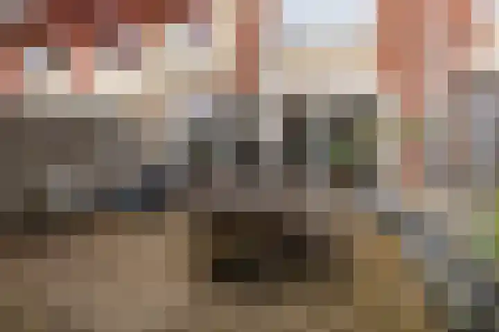 Verzetslaan 36 Almere thumbnail 35