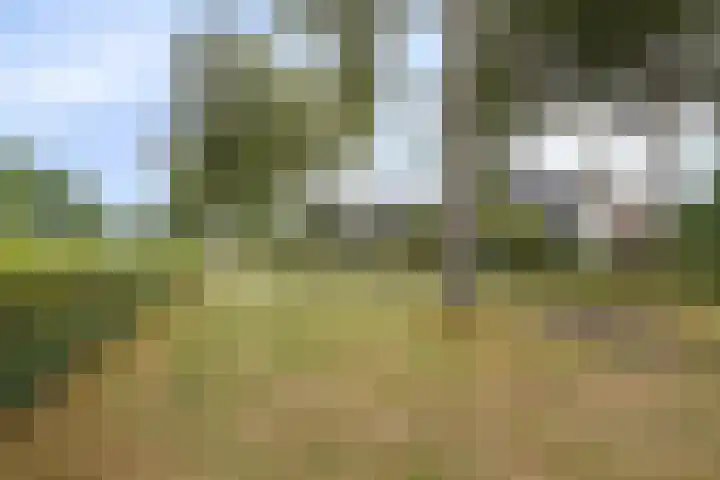Verzetslaan 36 Almere thumbnail 38