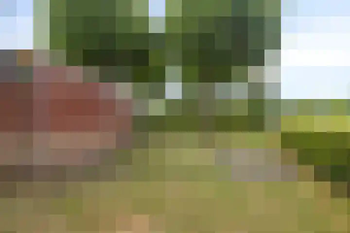 Verzetslaan 36 Almere thumbnail 39