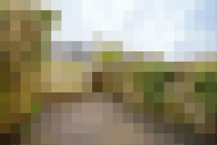 Verzetslaan 66 Almere thumbnail 36
