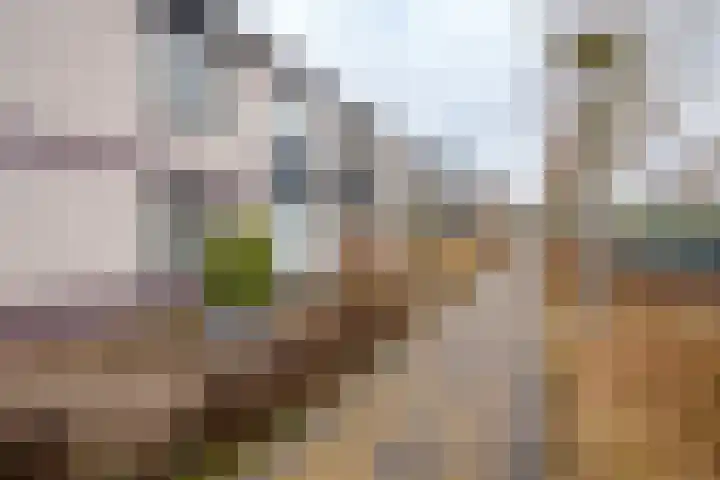 Verzetslaan 66 Almere thumbnail 40