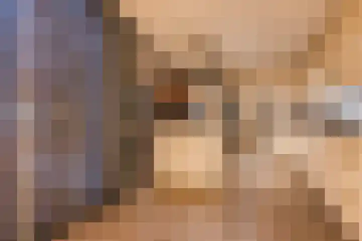 Vesperstraat 49 Mierlo thumbnail 18