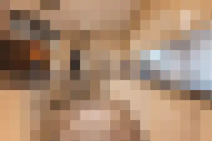 Vesperstraat 49 Mierlo thumbnail 20