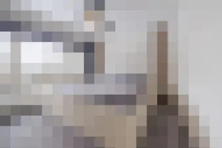 Vesperstraat 49 Mierlo thumbnail 26
