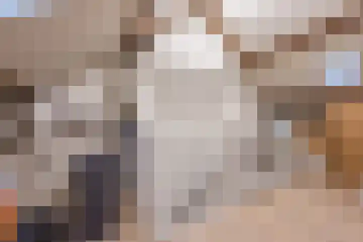 Vesperstraat 49 Mierlo thumbnail 41