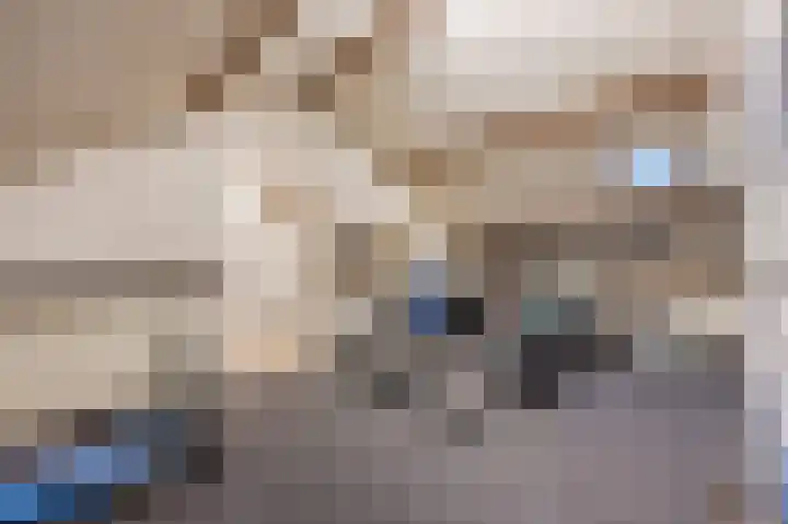 Vesperstraat 49 Mierlo thumbnail 44