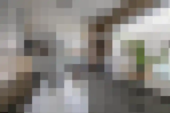 Vesperstraat 5 Sneek thumbnail 17