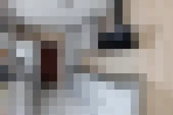 Vesperstraat 5 Sneek thumbnail 18