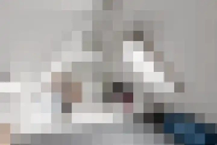 Vesperstraat 5 Sneek thumbnail 30