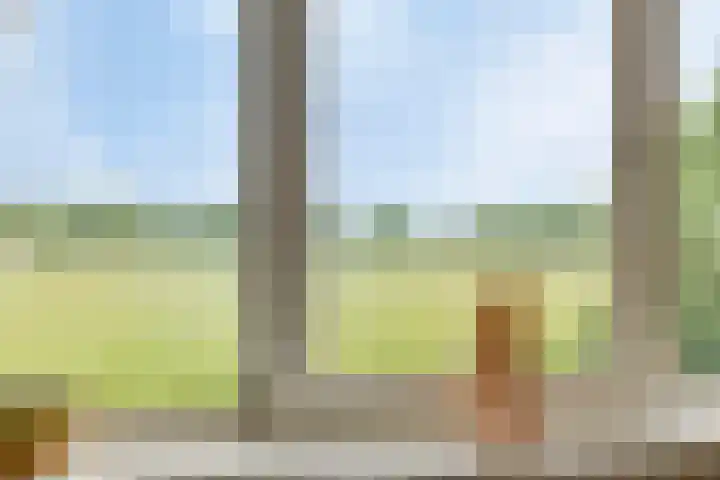 Vesselkampen 19 Eext thumbnail 27