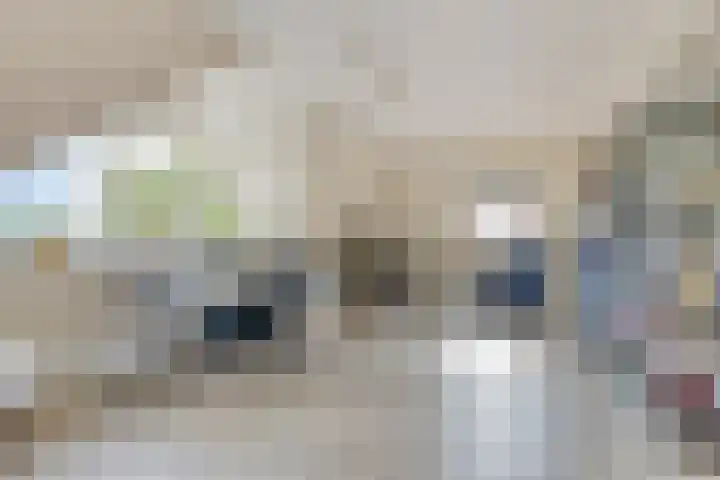 Vesselkampen 19 Eext thumbnail 28