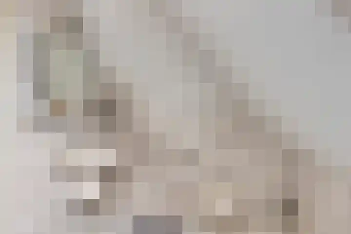 Vesselkampen 19 Eext thumbnail 33