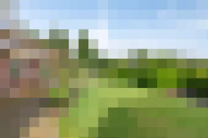 Vesselkampen 19 Eext thumbnail 41