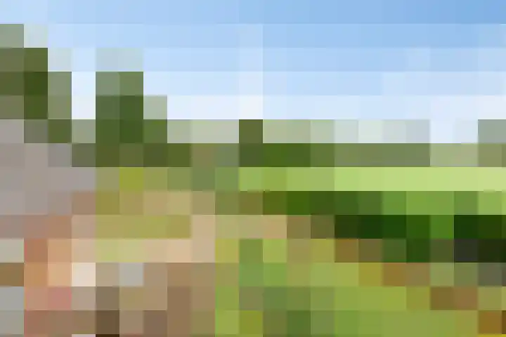 Vesselkampen 19 Eext thumbnail 42