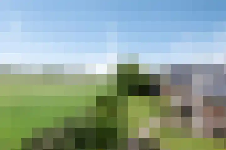 Vesselkampen 19 Eext thumbnail 47