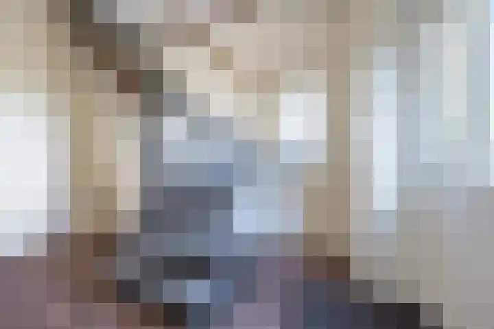 Vessemseweg 2 Hoogeloon thumbnail 17