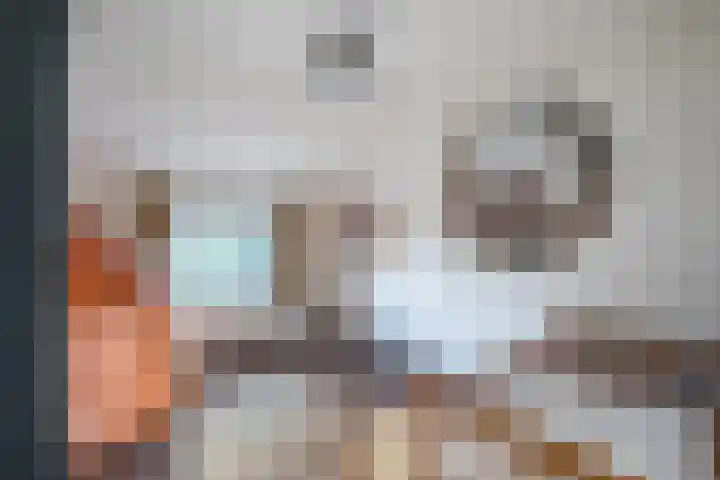 Vessemseweg 2 Hoogeloon thumbnail 24