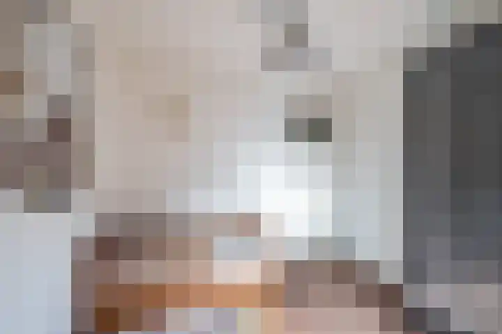 Vessemseweg 2 Hoogeloon thumbnail 25