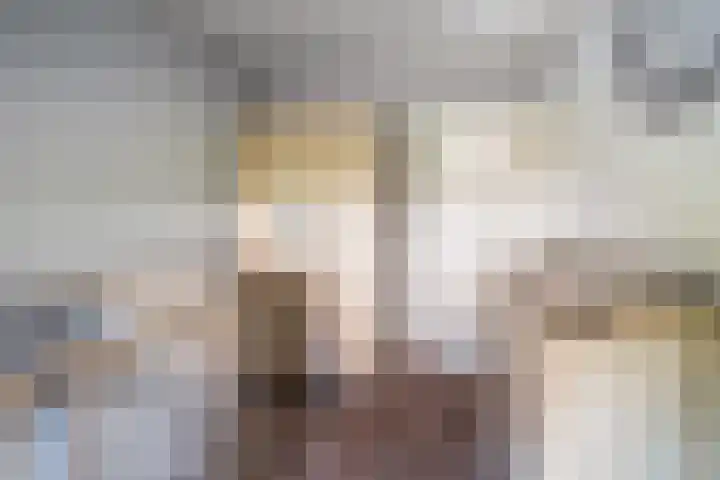Vessemseweg 2 Hoogeloon thumbnail 27