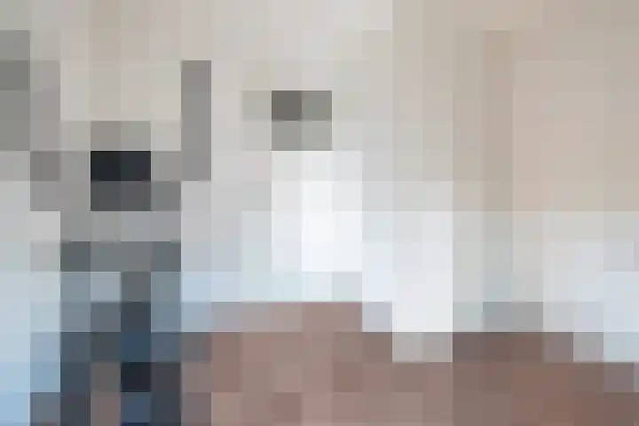 Vessemseweg 2 Hoogeloon thumbnail 29