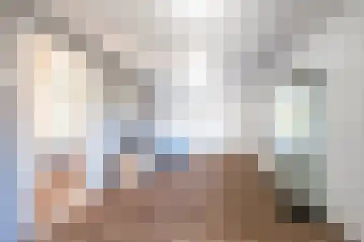 Vessemseweg 2 Hoogeloon thumbnail 34