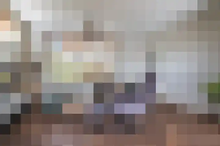 Vessemseweg 2 Hoogeloon thumbnail 4