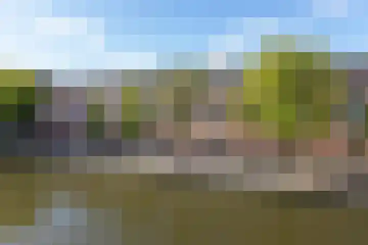 Vest 14 b Gouda thumbnail 37