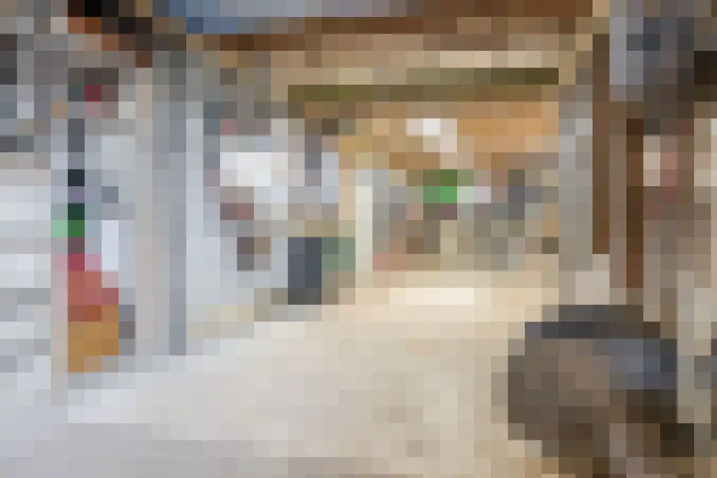 Vest 63 Gouda thumbnail 37
