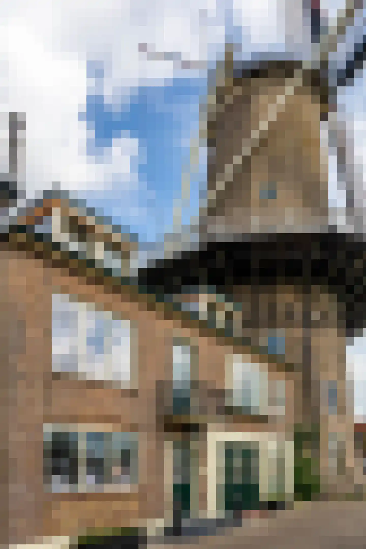 Vest 63 Gouda thumbnail 5