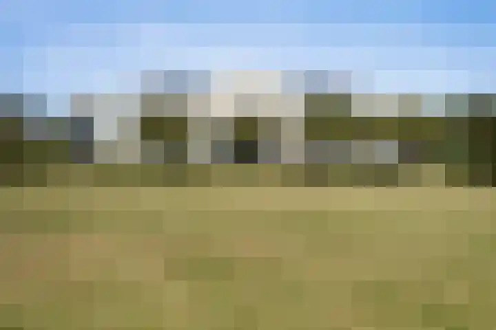 Vesta 35 Wijk bij Duurstede