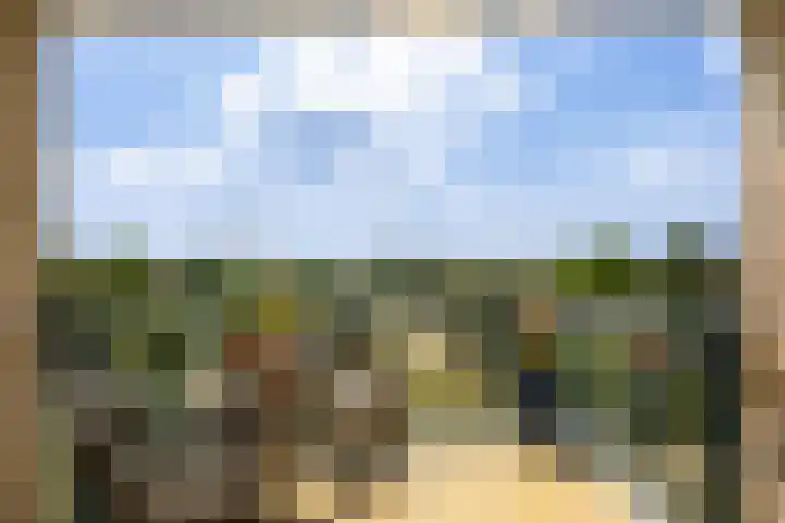Vesta 35 Wijk bij Duurstede thumbnail 17
