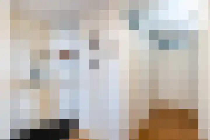 Vesta 35 Wijk bij Duurstede thumbnail 18