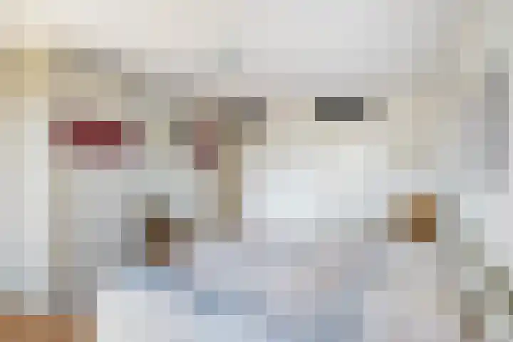 Vesta 35 Wijk bij Duurstede thumbnail 21