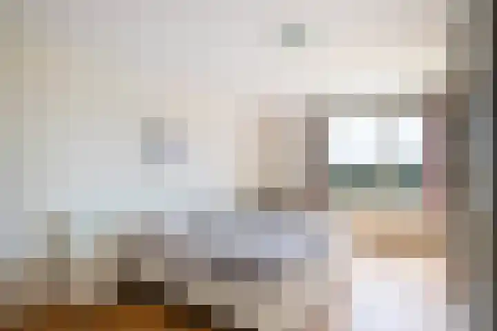 Vesta 35 Wijk bij Duurstede thumbnail 23