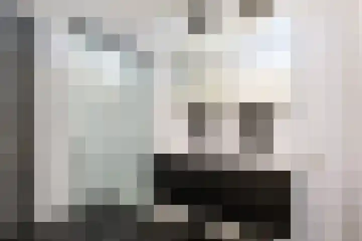 Vesta 35 Wijk bij Duurstede thumbnail 24
