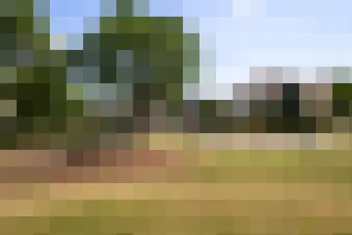 Vesta 35 Wijk bij Duurstede thumbnail 35
