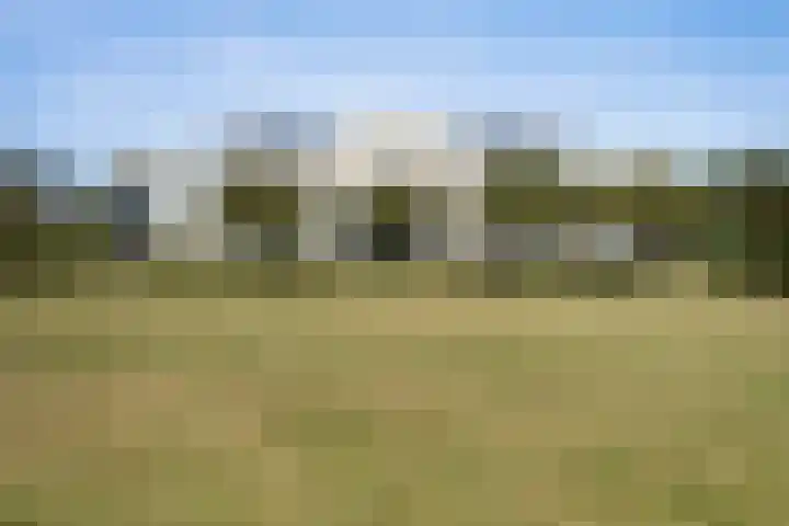 Vesta 35 Wijk bij Duurstede thumbnail 41