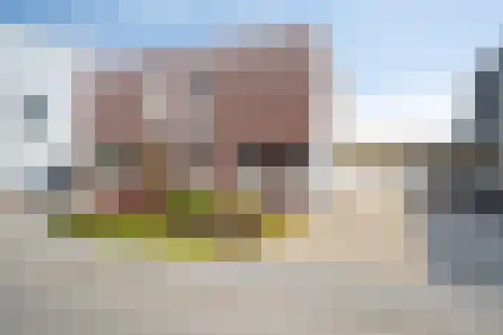 Vesta 5 Born