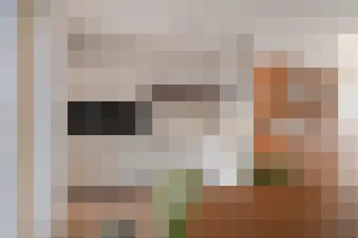 Vesta 5 Born thumbnail 11