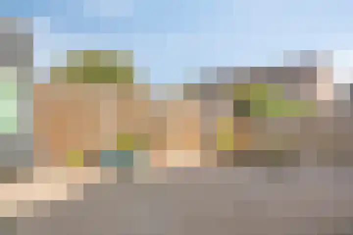 Vesta 5 Born thumbnail 17