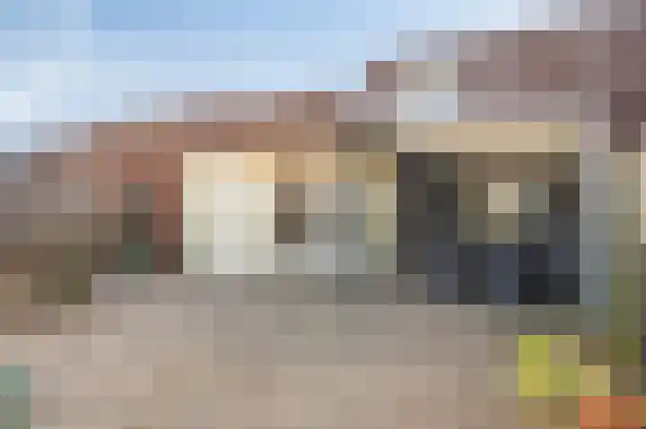 Vesta 5 Born thumbnail 18