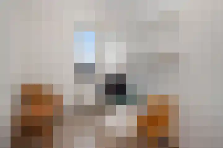 Vesta 5 Born thumbnail 21