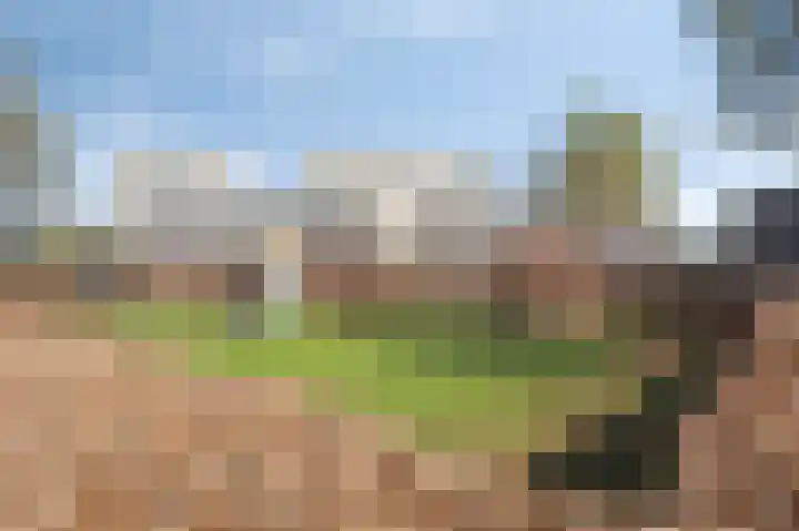 Vesta 5 Born thumbnail 28