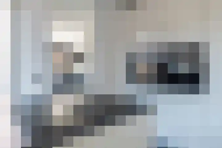 Vesta 9 Born thumbnail 12