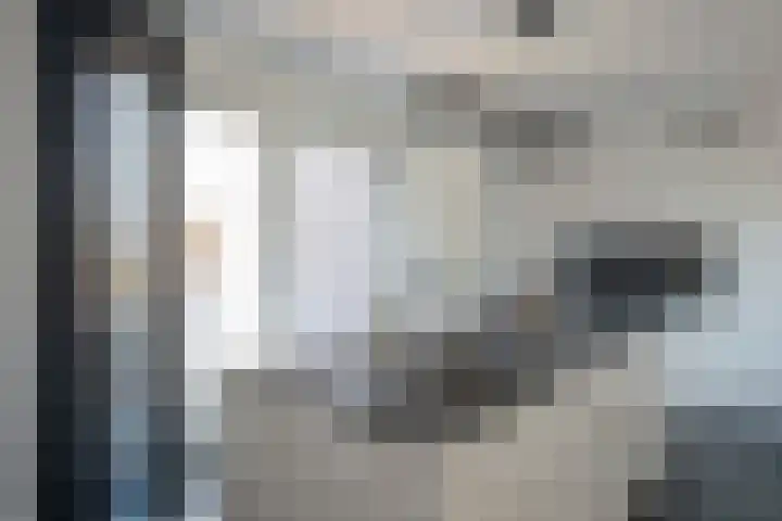 Vesta 9 Born thumbnail 15