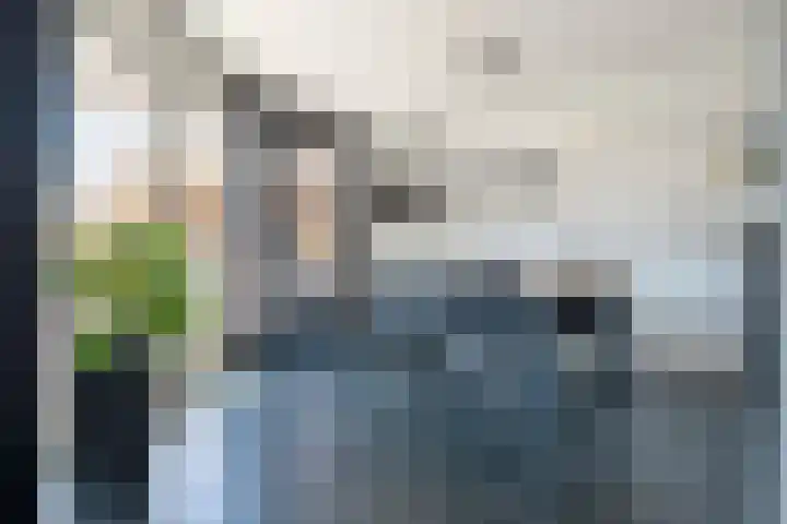 Vesta 9 Born thumbnail 16