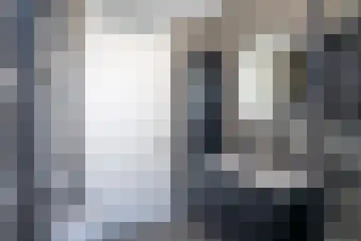 Vesta 9 Born thumbnail 23