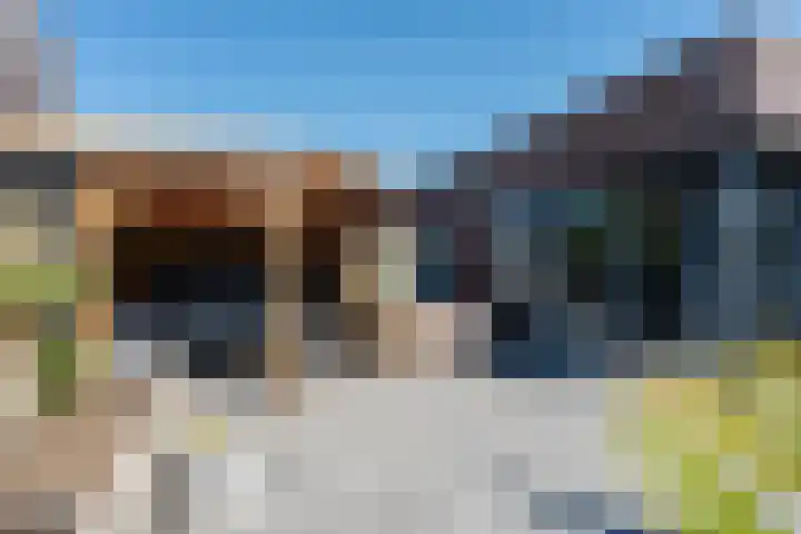 Vesta 9 Born thumbnail 29